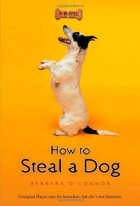 https://www.amazon.com/How-Steal-Dog-Barbara-OConnor/dp/0312561121